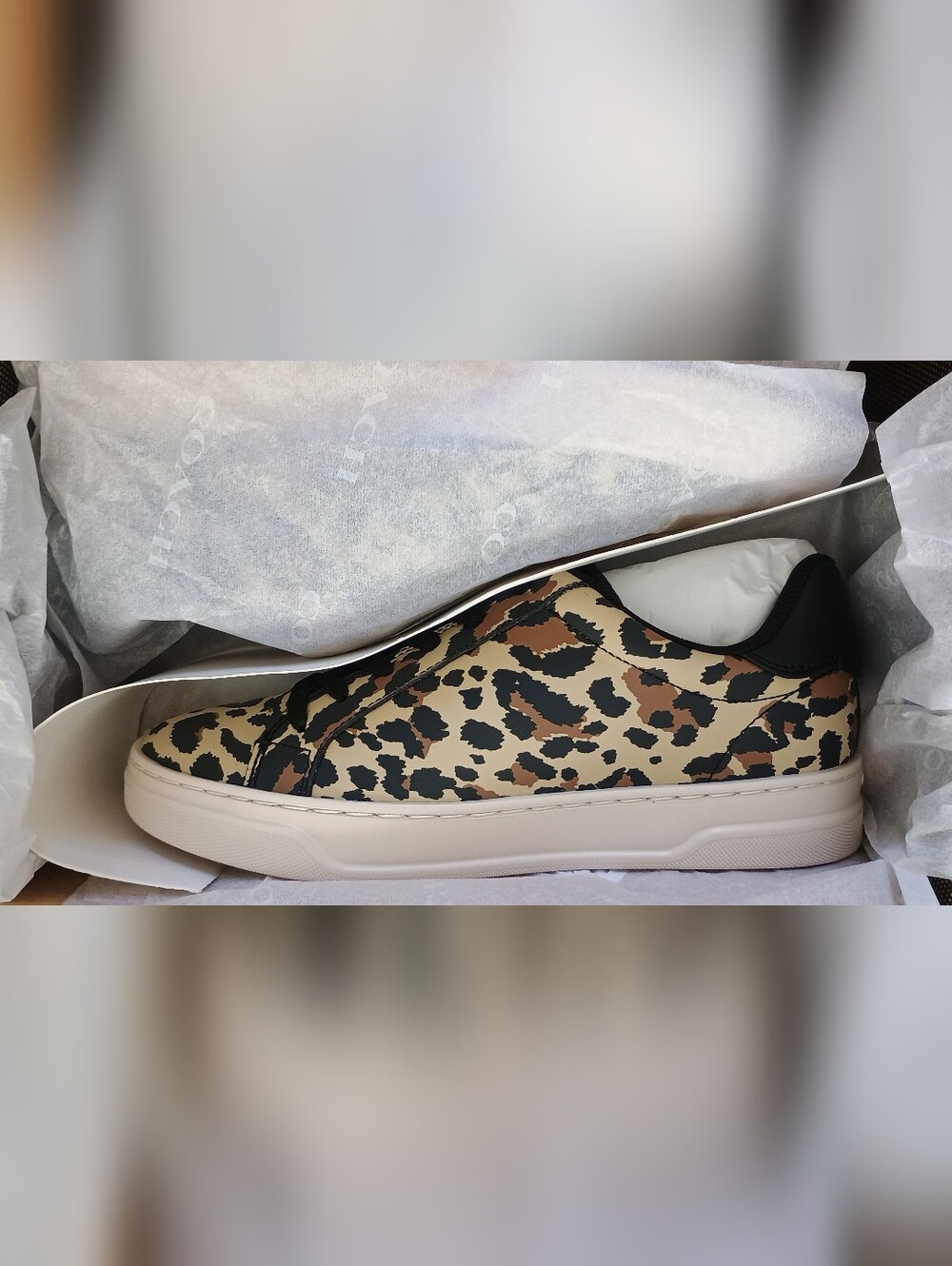 New! Coach High Line Spean With Leopard Print 🐆#CCV98 - Picture 8 of 8